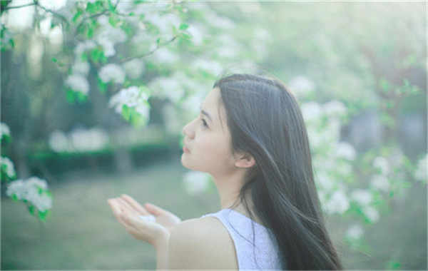 元谋验血查男女几周可以验(验血查男女结果图)